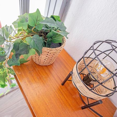 Appartement Duplex Champetre : Gare, Marche, Hypercentre à Toulouse Extérieur photo