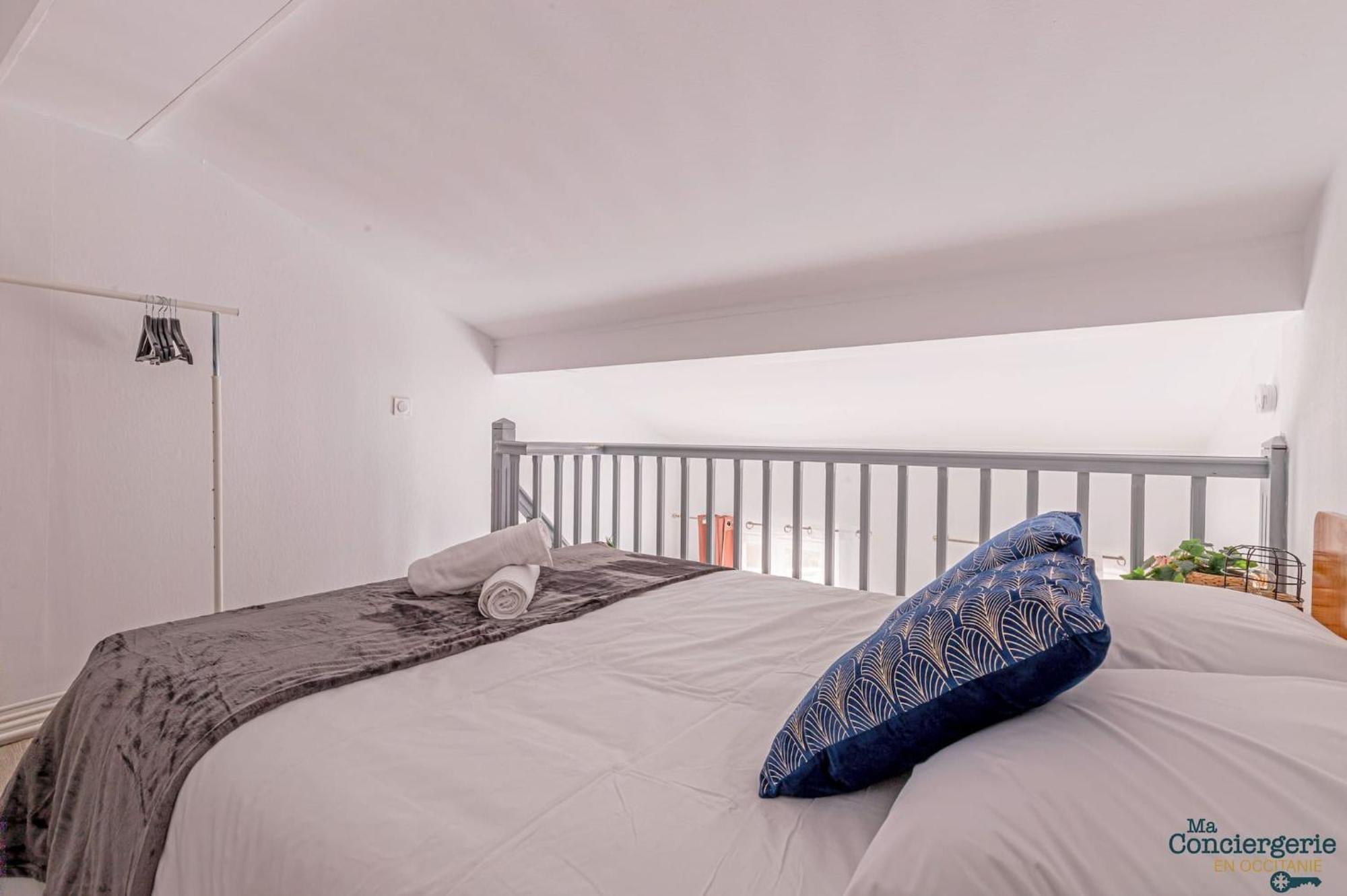 Appartement Duplex Champetre : Gare, Marche, Hypercentre à Toulouse Extérieur photo