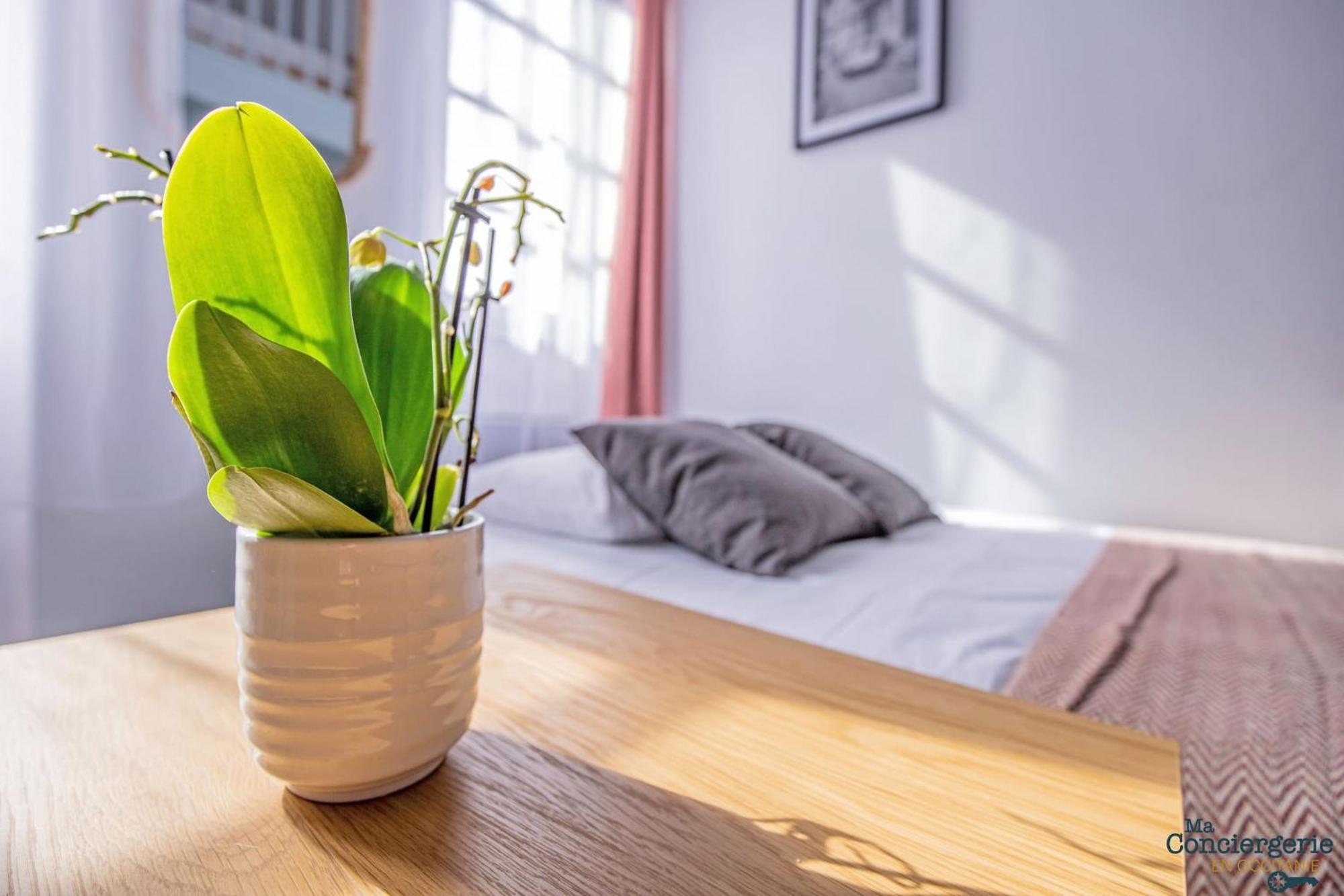 Appartement Duplex Champetre : Gare, Marche, Hypercentre à Toulouse Extérieur photo