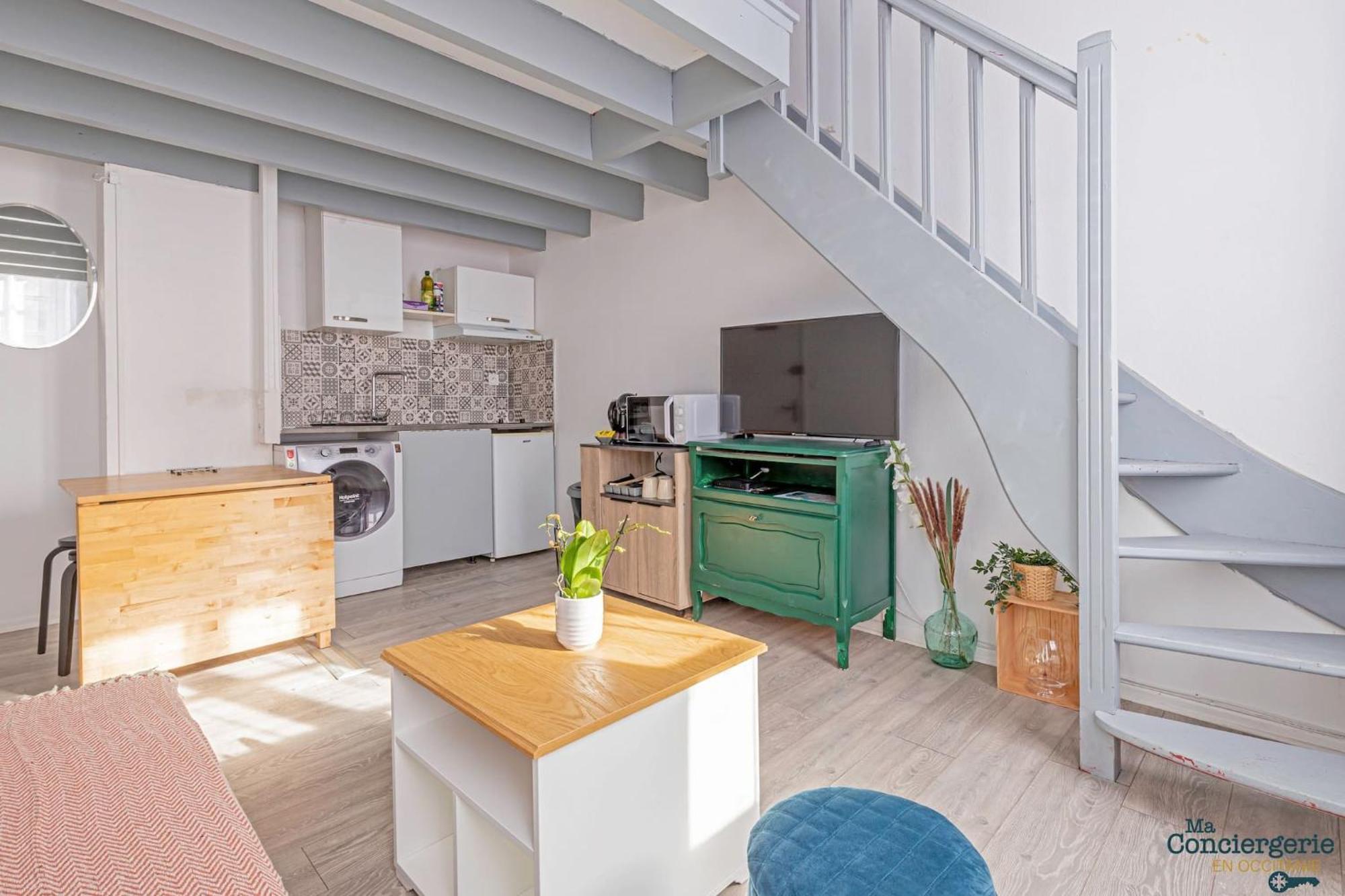 Appartement Duplex Champetre : Gare, Marche, Hypercentre à Toulouse Extérieur photo