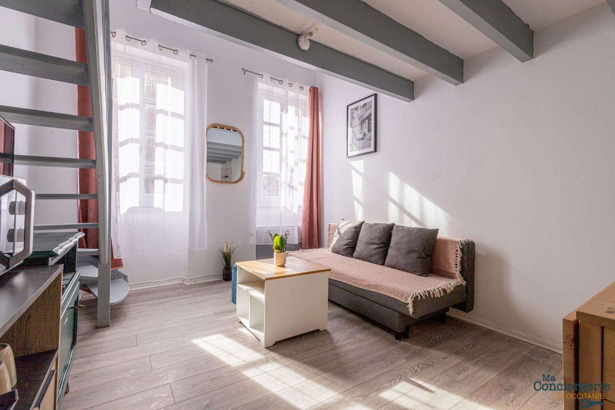 Appartement Duplex Champetre : Gare, Marche, Hypercentre à Toulouse Extérieur photo