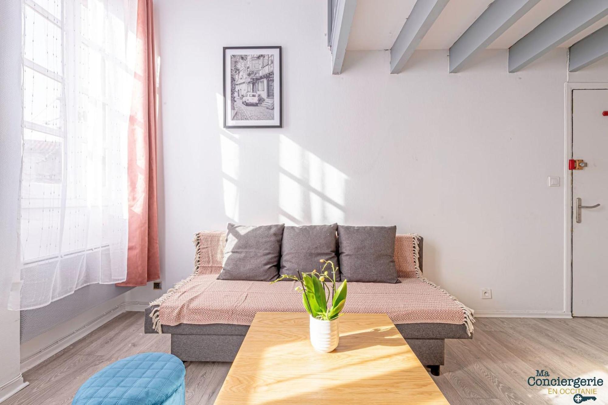 Appartement Duplex Champetre : Gare, Marche, Hypercentre à Toulouse Extérieur photo