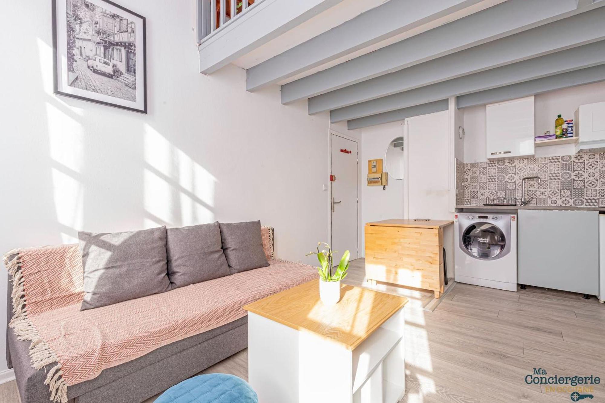 Appartement Duplex Champetre : Gare, Marche, Hypercentre à Toulouse Extérieur photo