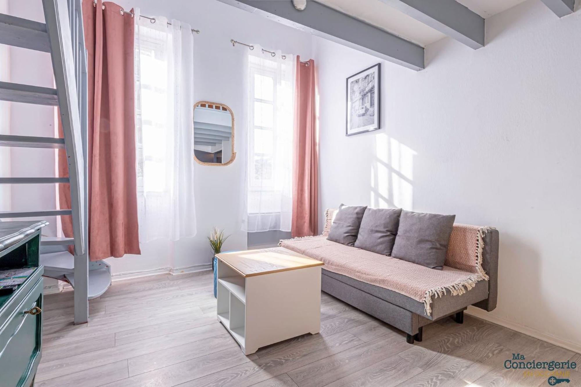 Appartement Duplex Champetre : Gare, Marche, Hypercentre à Toulouse Extérieur photo