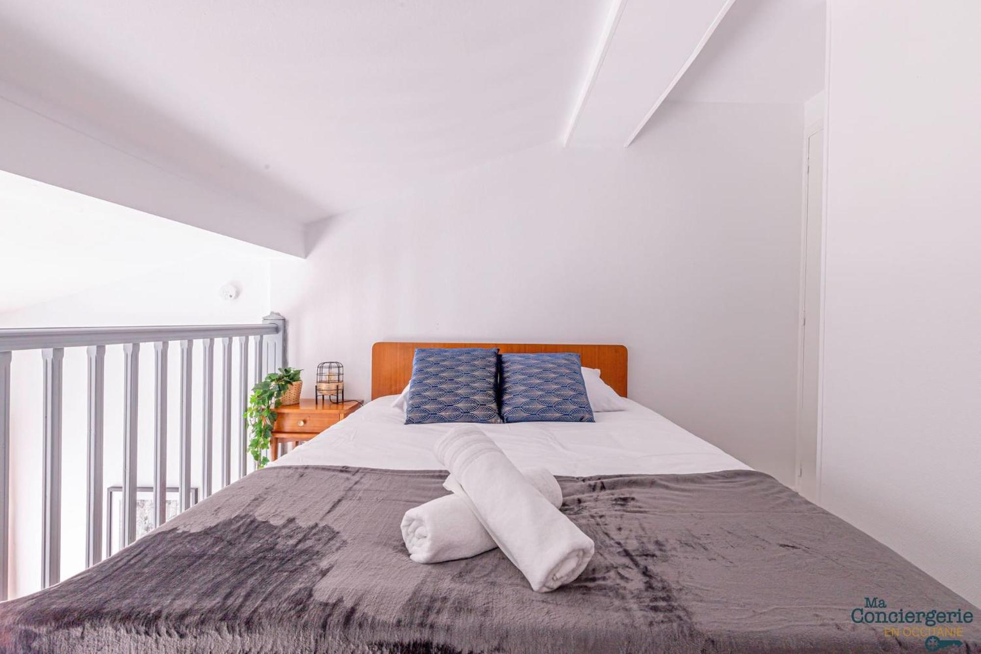 Appartement Duplex Champetre : Gare, Marche, Hypercentre à Toulouse Extérieur photo